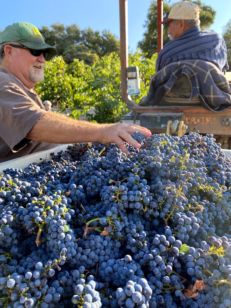 Bella Luna Estate Winery photo 4
