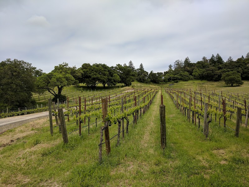 Medlock Ames Historic Healdsburg Tasting Room photo 5