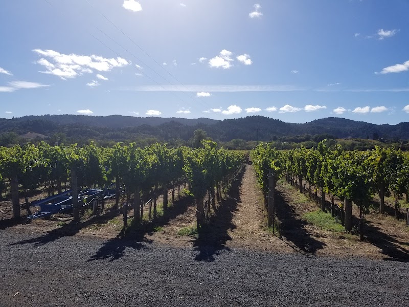 Medlock Ames Historic Healdsburg Tasting Room photo 6