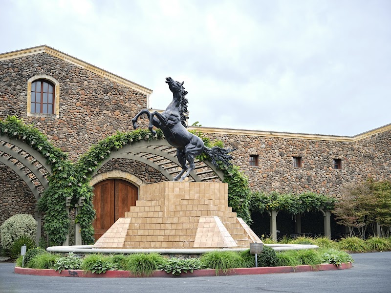 Black Stallion Estate Winery photo 1