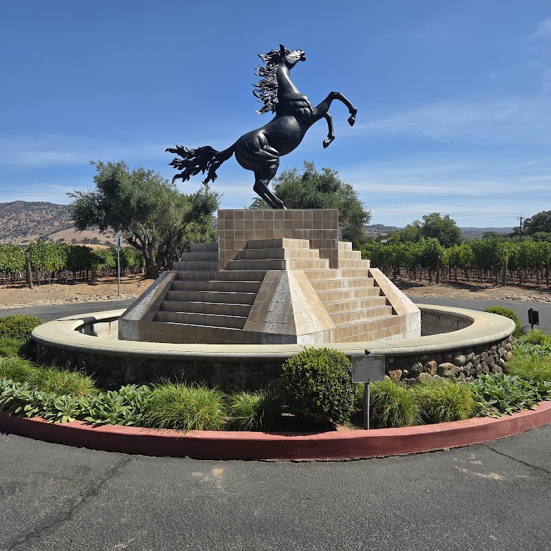 Black Stallion Estate Winery photo 5