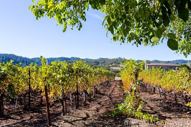 Tedeschi Family Winery - Napa Valley, CA photo 1