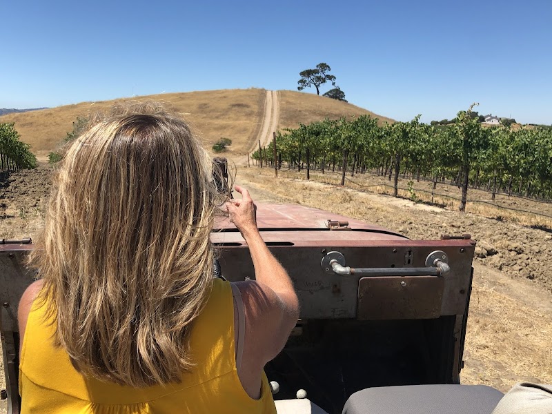 Steinbeck Vineyards & Winery photo 4