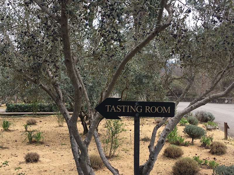 Allora Vineyards photo 4