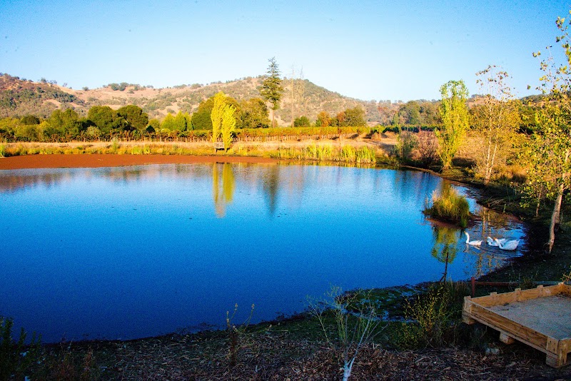 Powicana Farm photo 4