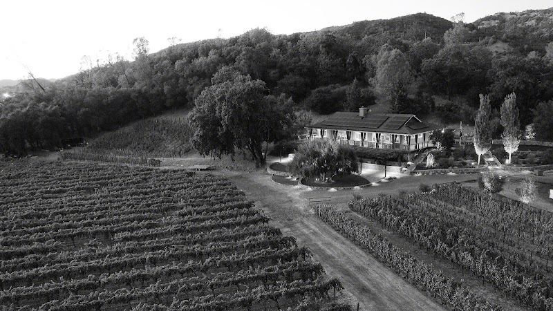 Venge Vineyards photo 1