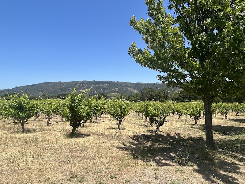 Abbot's Passage Winery & Mercantile photo 5