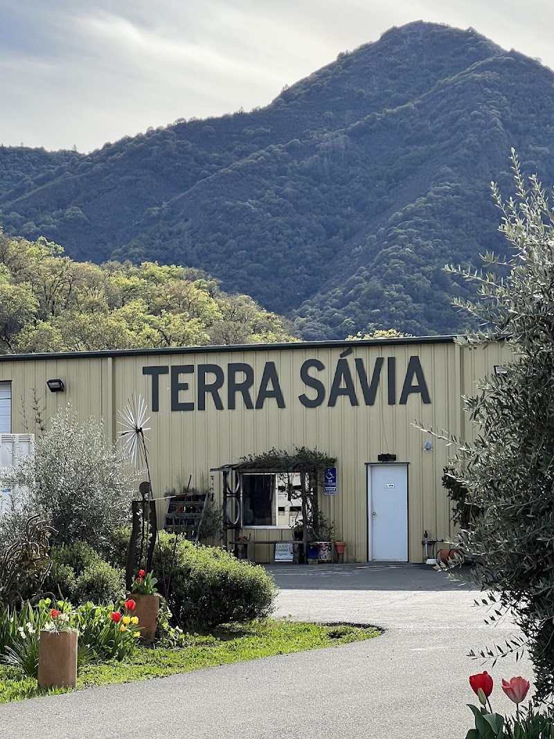 Terra Sávia Organic Winery & Olive Mill photo 1