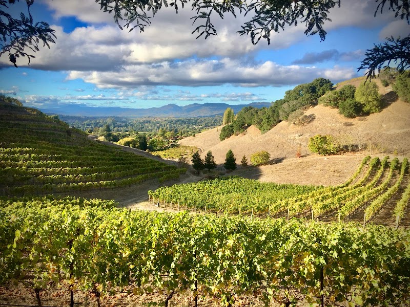 Porter Family Vineyards photo 1