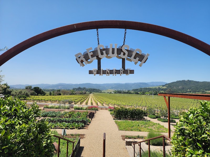 Regusci Winery photo 4