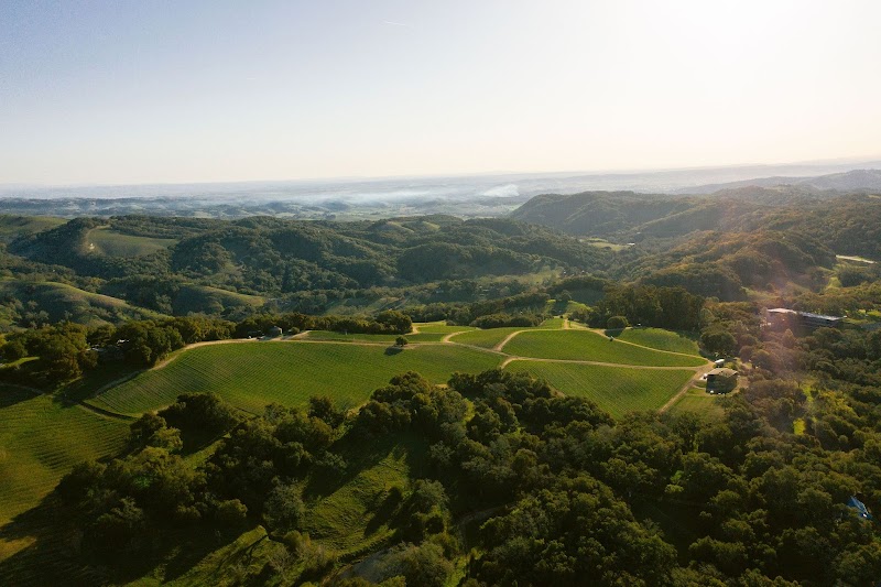 Epoch Estate Wines photo 4
