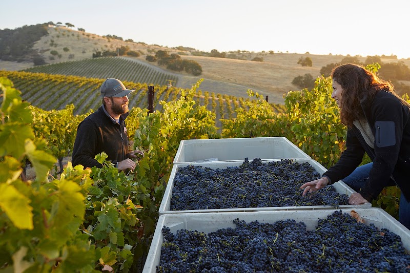 Epoch Estate Wines photo 5