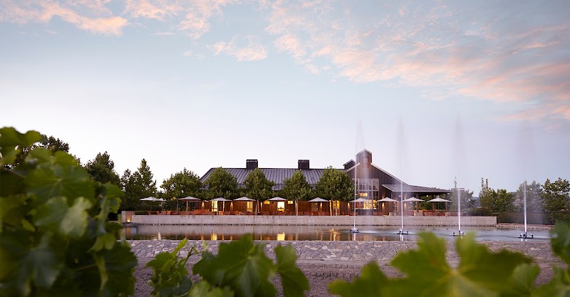 Alpha Omega Winery photo 1