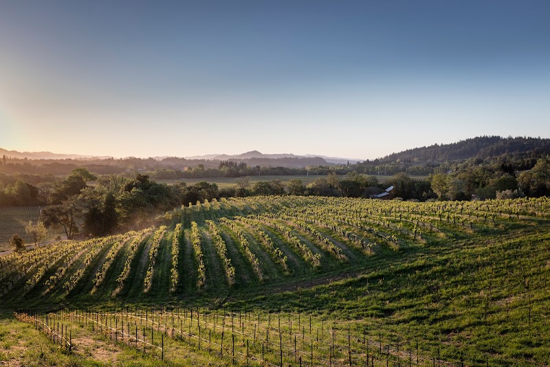 Quivira Vineyards photo 4