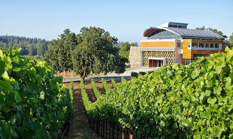 Williams Selyem Winery photo 1