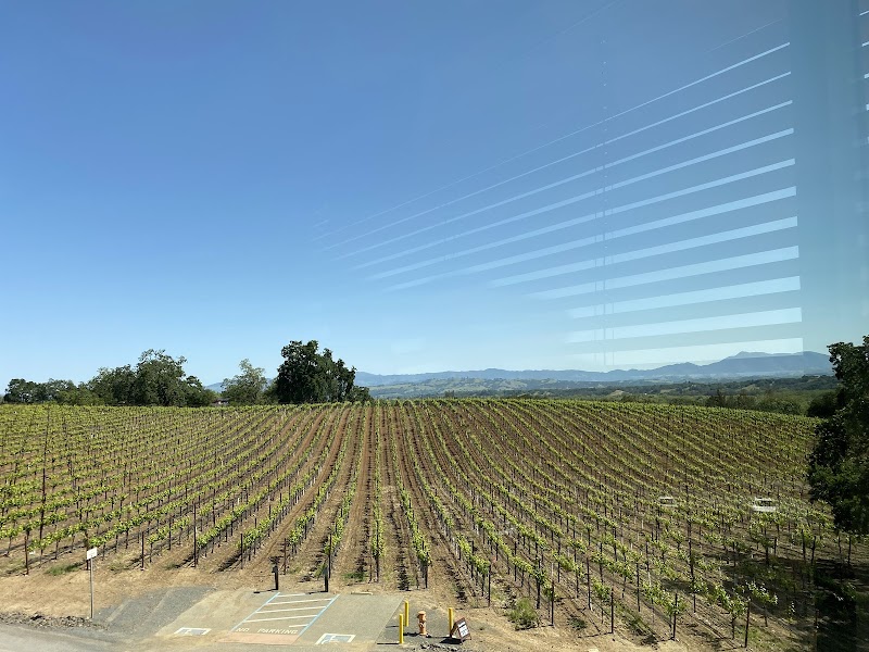 Williams Selyem Winery photo 4