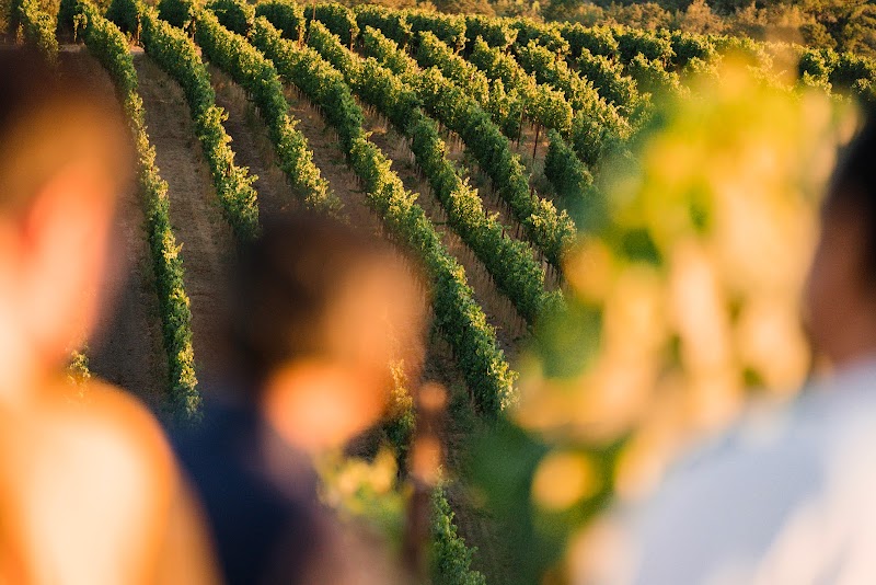 Joseph Jewell Wines photo 5
