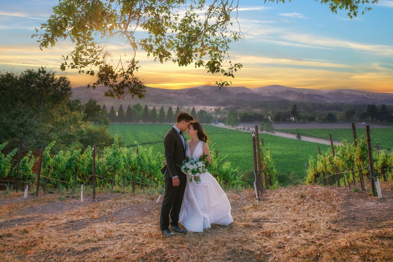 Copain Wines photo 1