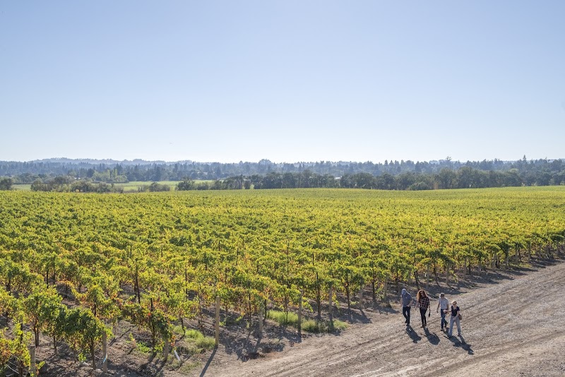 Balletto Vineyards photo 1
