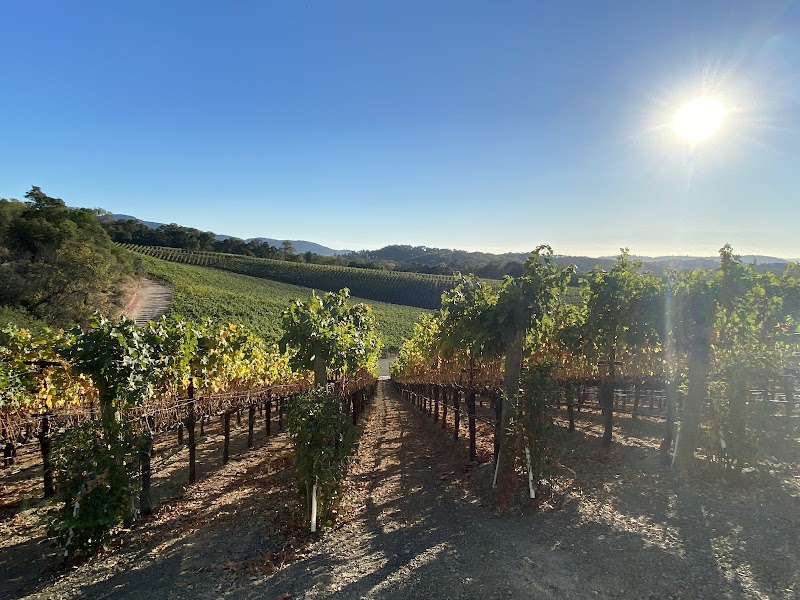 Palmaz Vineyards photo 5