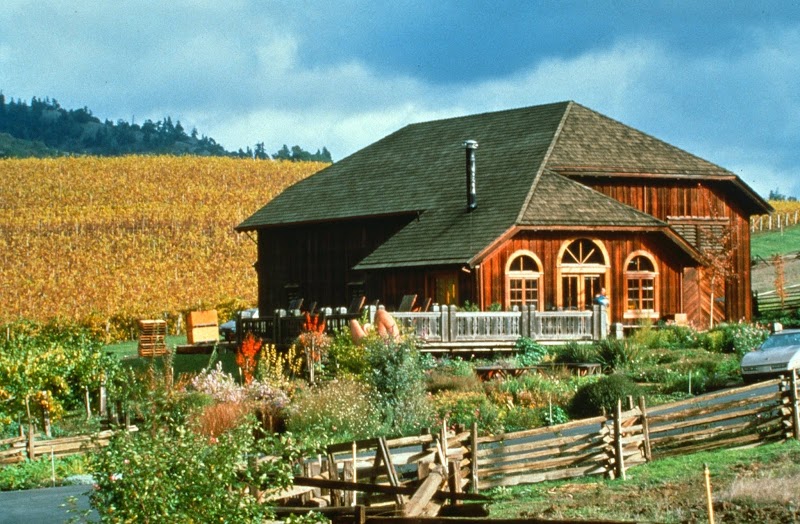 Navarro Vineyards & Winery photo 4