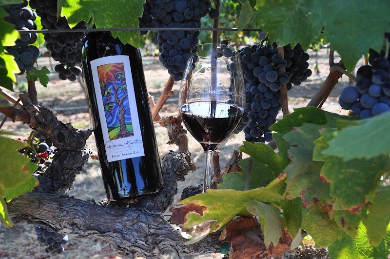 Darcie Kent Estate Winery photo 5