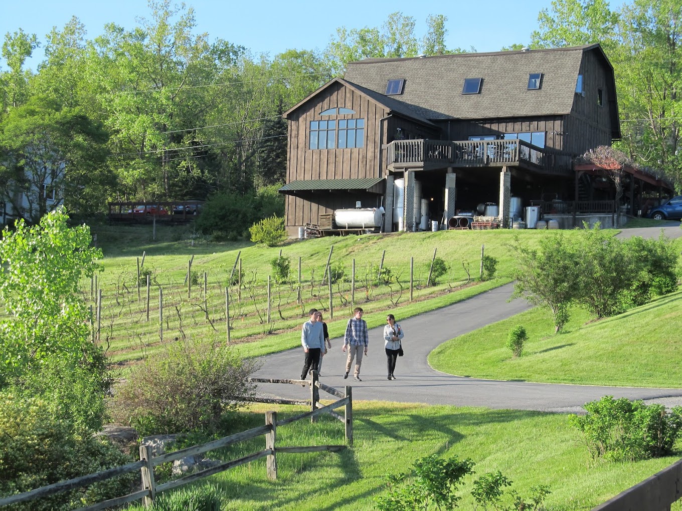 Six Mile Creek Vinyards photo 4