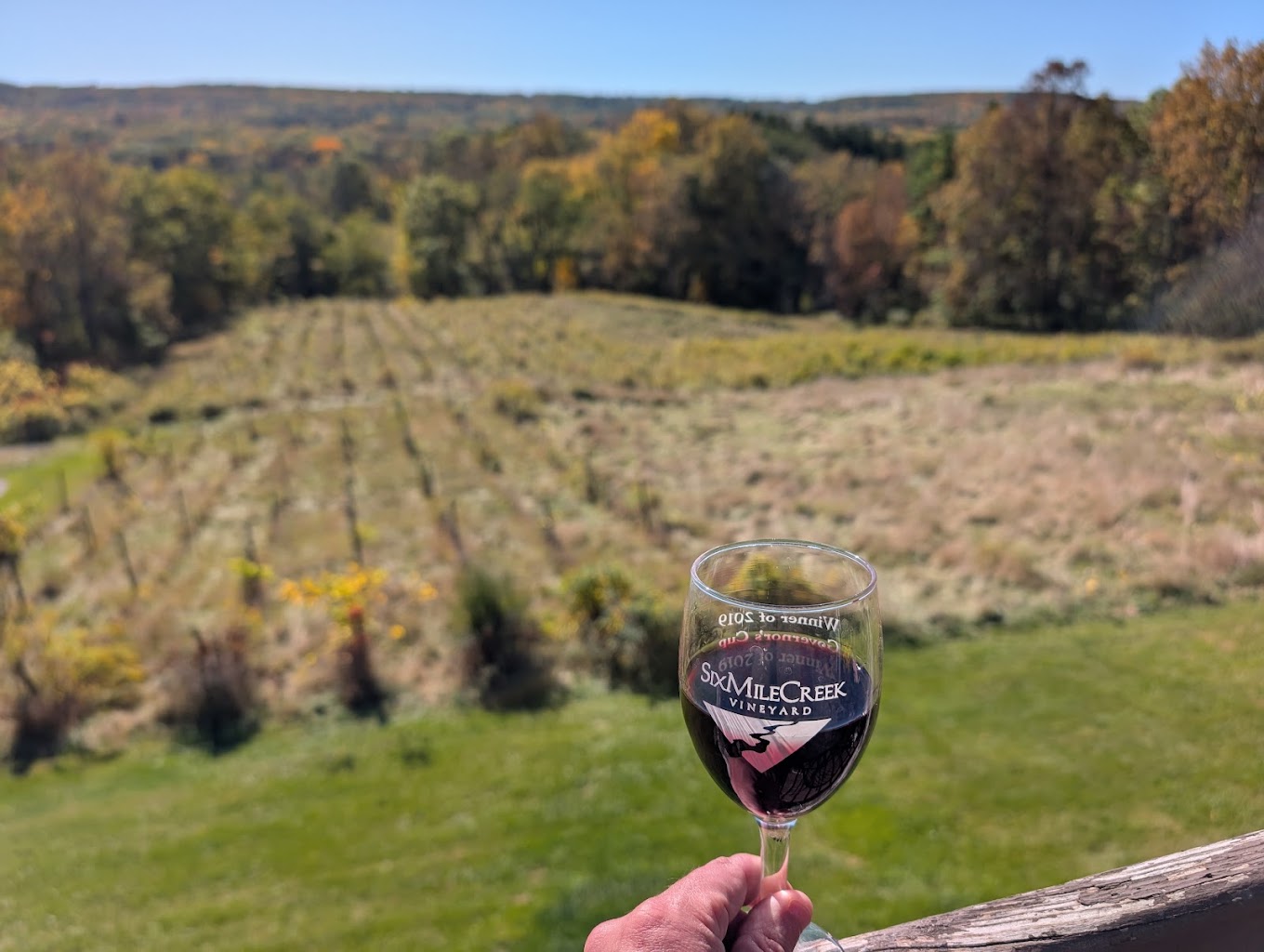 Six Mile Creek Vinyards photo 6
