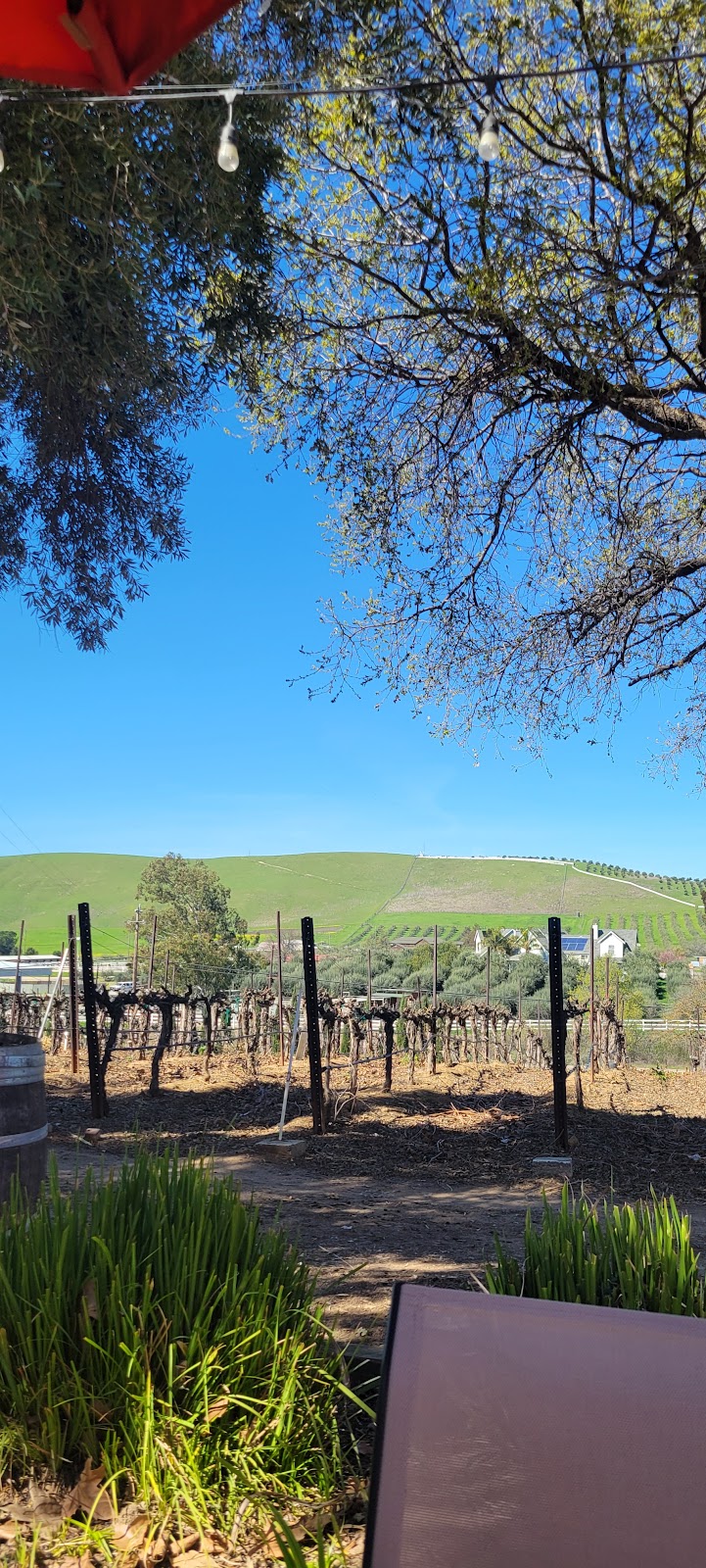 Boa Ventura De Caires Winery photo 5