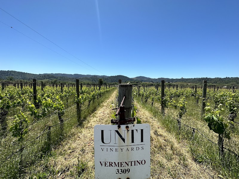 Unti Vineyards photo 1