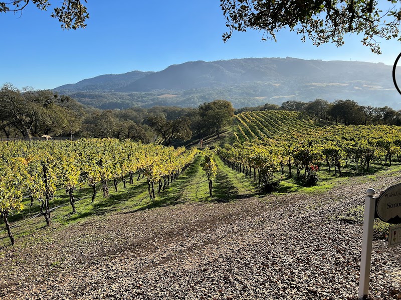 GlenLyon Vineyards & Winery photo 1