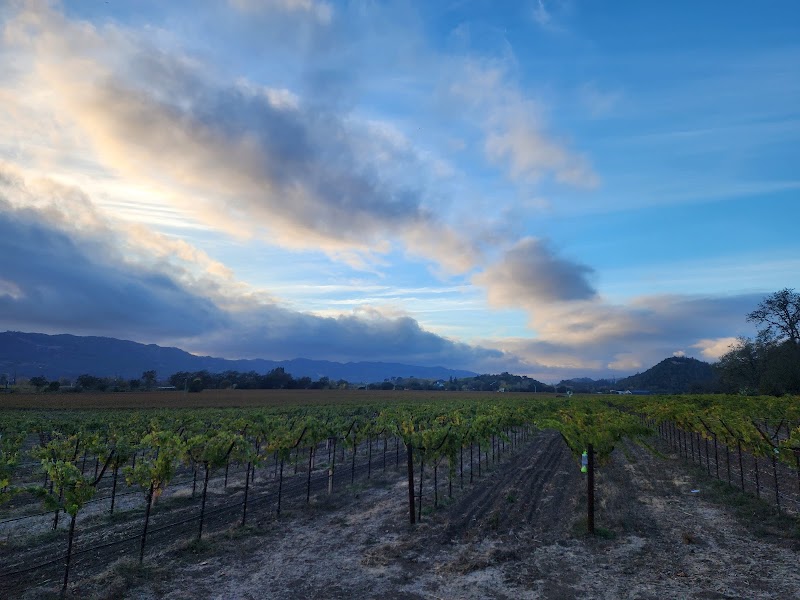 Mumm Napa photo 4