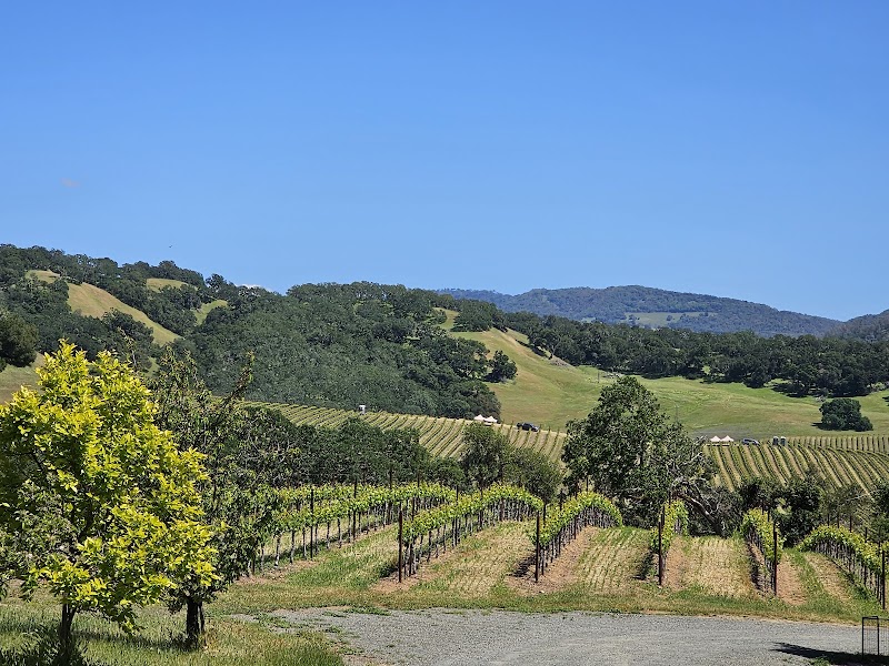 Buehler Vineyards photo 1