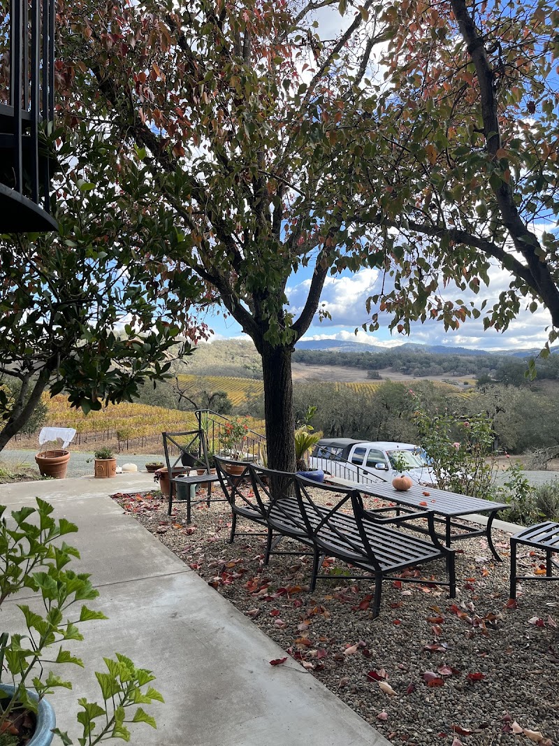 Buehler Vineyards photo 4