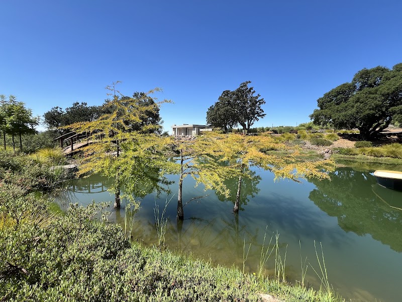 Coursey Graves Estate Winery photo 5