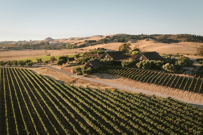 Ram's Gate Winery photo 1