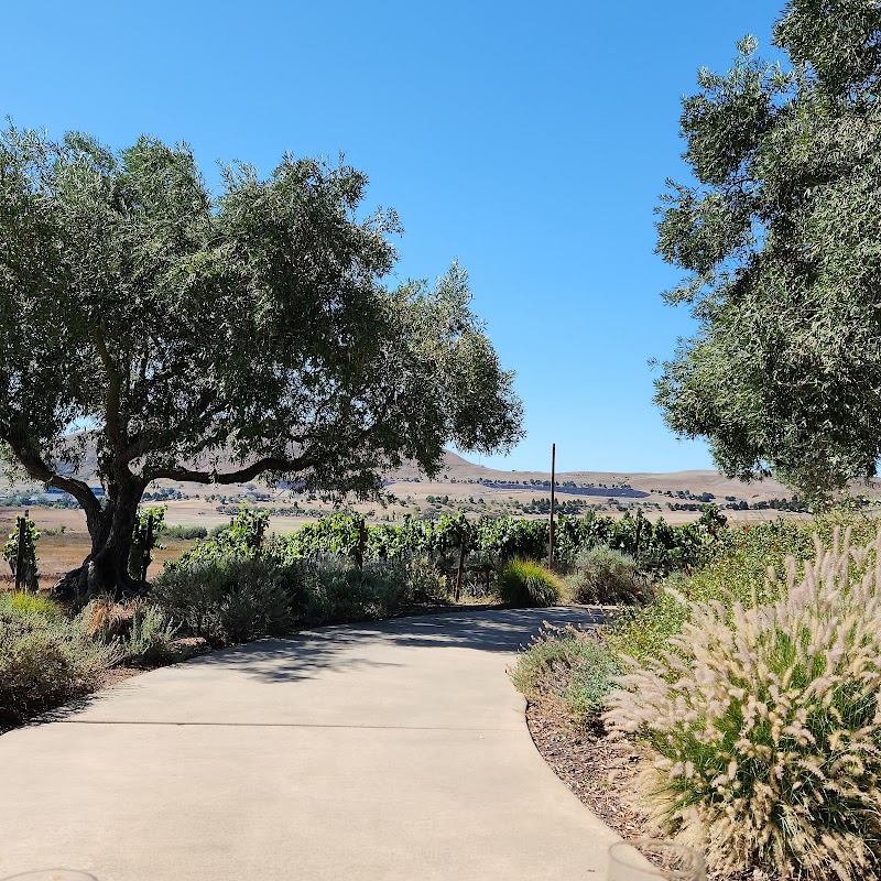 Ram's Gate Winery photo 4