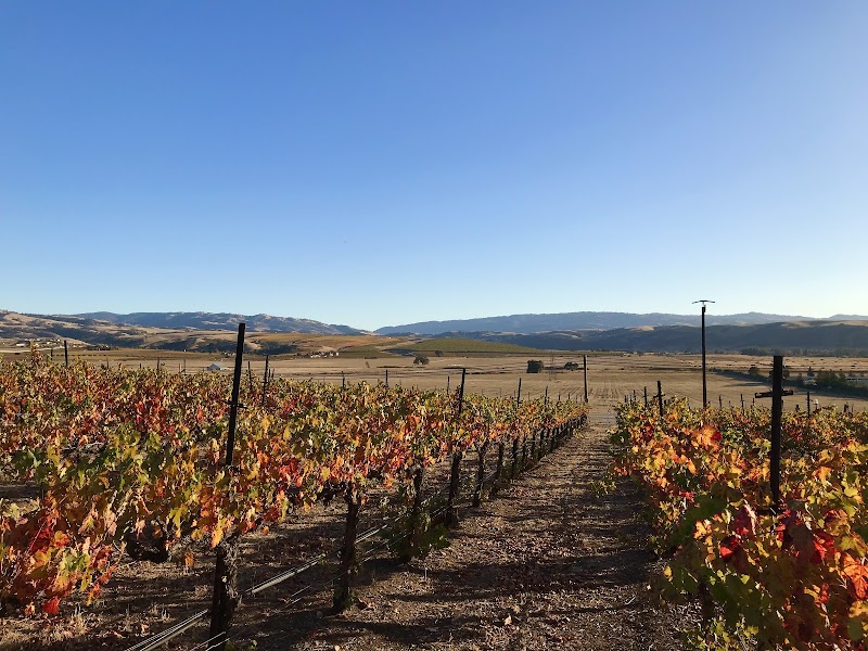 Rios-Lovell Winery photo 1