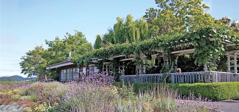 Handley Cellars photo 1