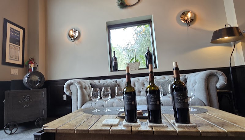 Dakota Shy Winery photo 5