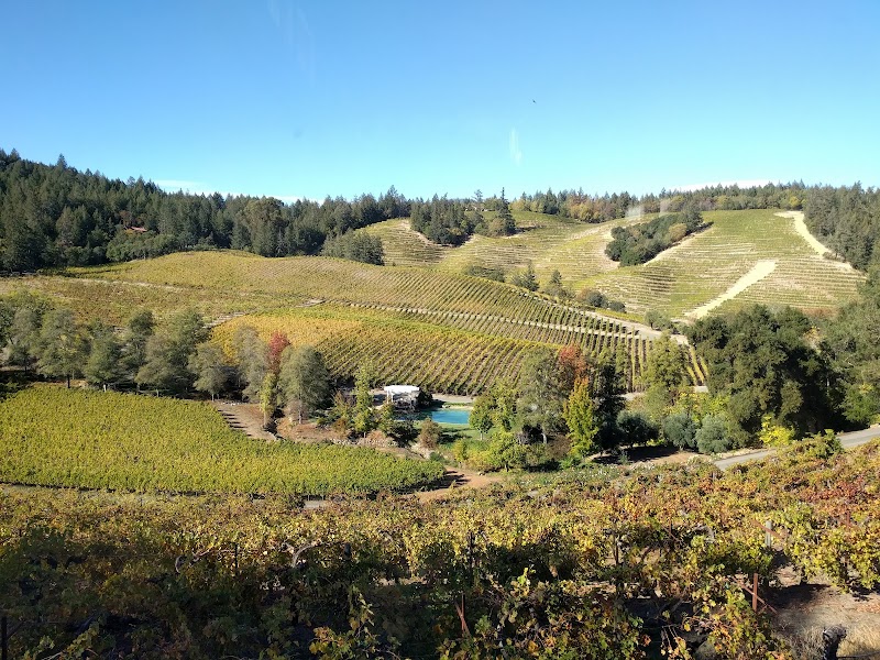 Diamond Creek Vineyards photo 1