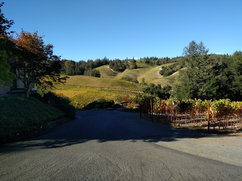 Diamond Creek Vineyards photo 5