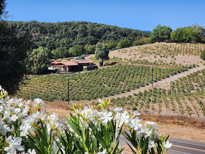 AronHill Winery & Vineyards photo 4