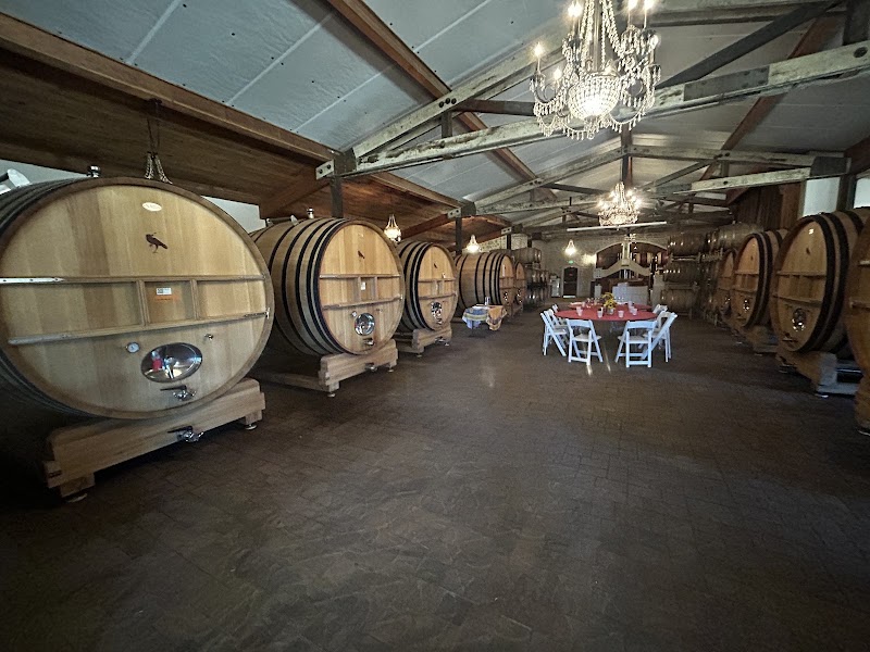 Dancing Crow Vineyards photo 5