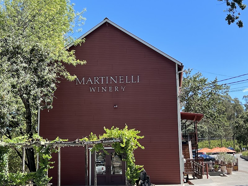 Martinelli Vineyards & Winery photo 1