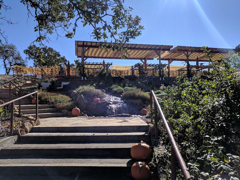 Martinelli Vineyards & Winery photo 4