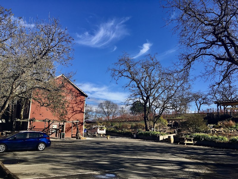 Martinelli Vineyards & Winery photo 5