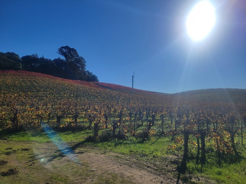 Truchard Vineyards photo 5