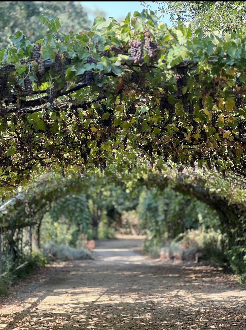 Campovida photo 1