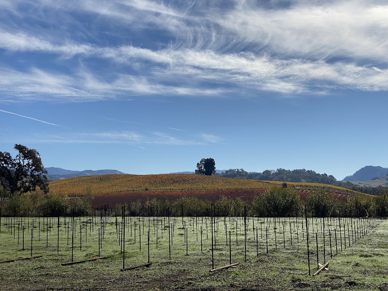 Campovida photo 4